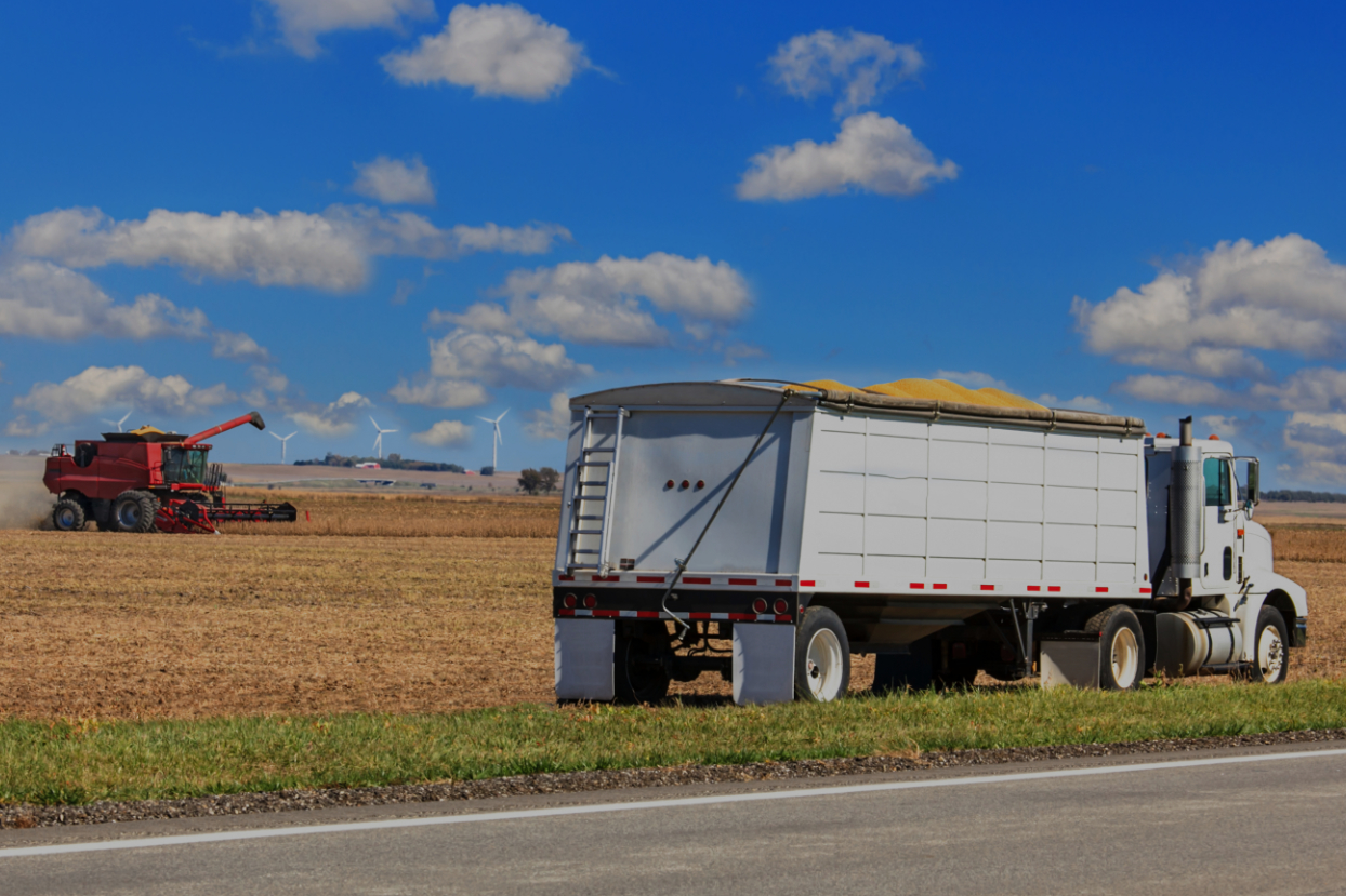 truck in harvesting carn field